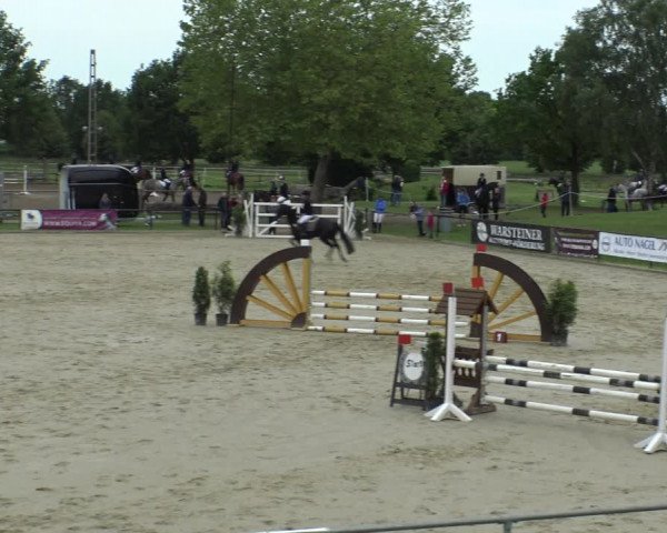 Reitturnier Hamm-Rhynern 2019