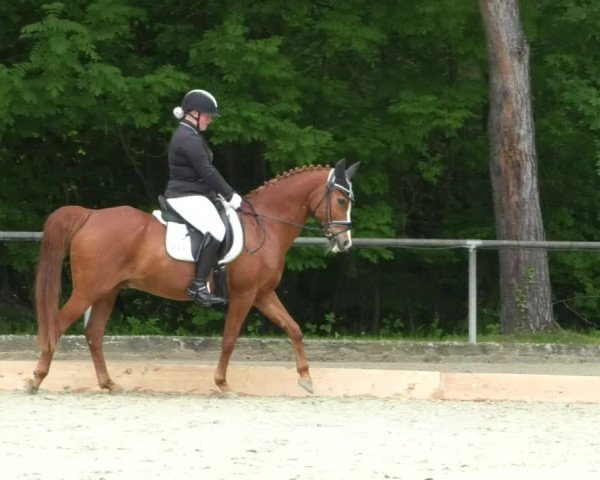 Reitturnier Leingarten 2019