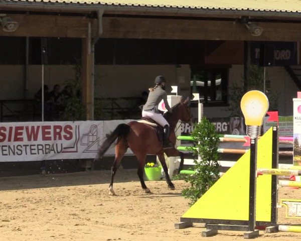 Reitturnier Hellefeld 2019