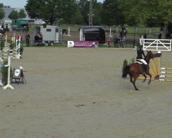 Reitturnier Hamm-Rhynern 2019