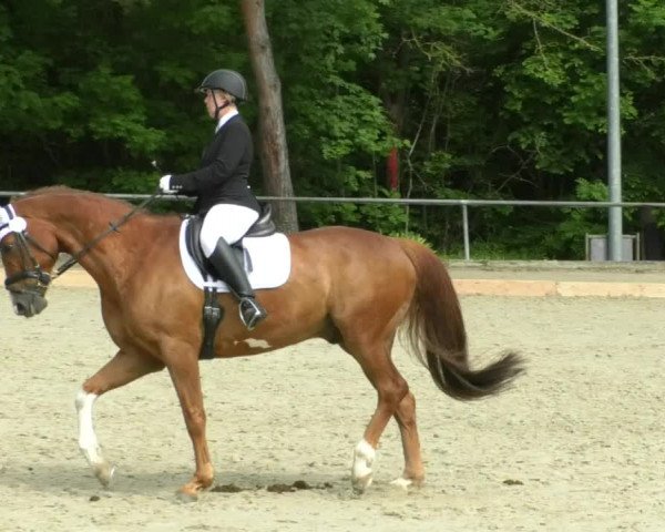 Reitturnier Leingarten 2019