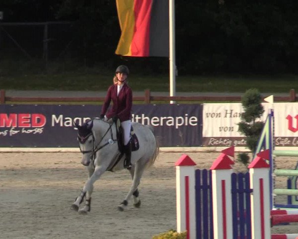 Reitturnier Westergellersen 2021