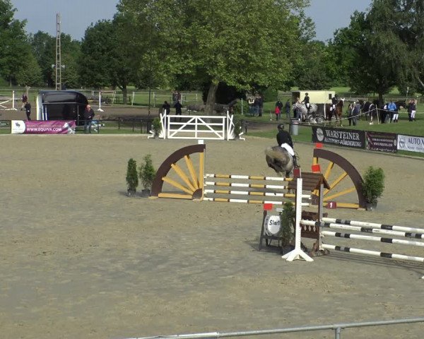 Reitturnier Hamm-Rhynern 2019