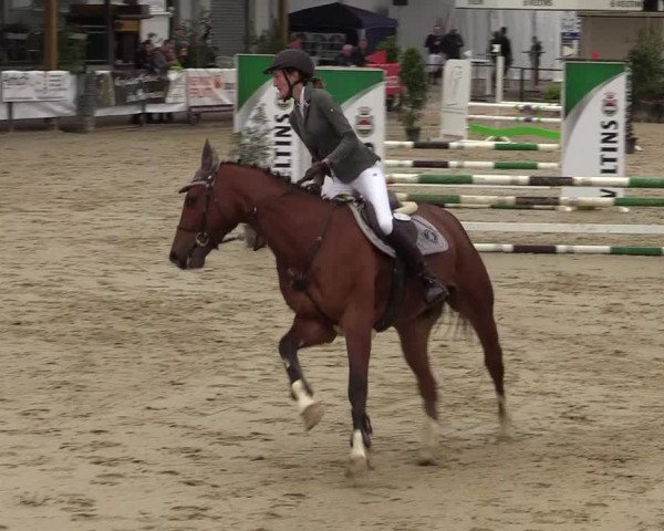 Reitturnier Hellefeld 2019