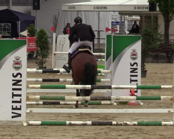 Reitturnier Hellefeld 2019