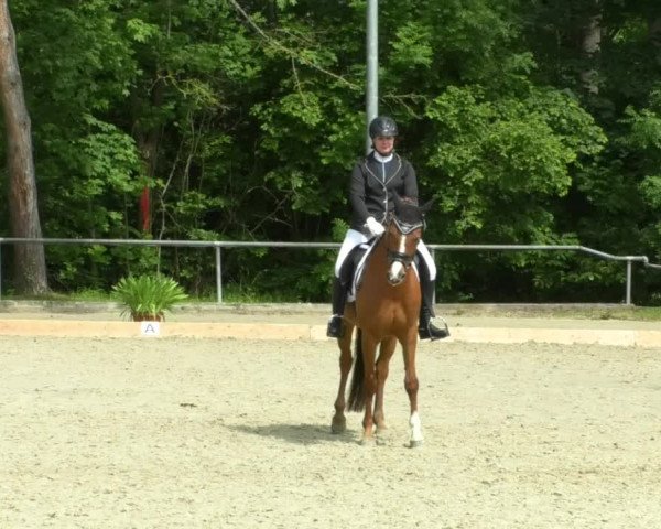 Reitturnier Leingarten 2019