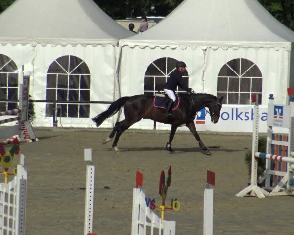 Reitturnier Hamm-Rhynern 2019