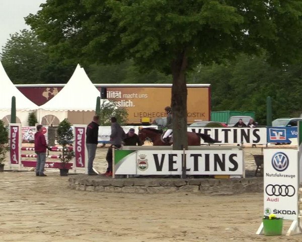 Reitturnier Hellefeld 2019