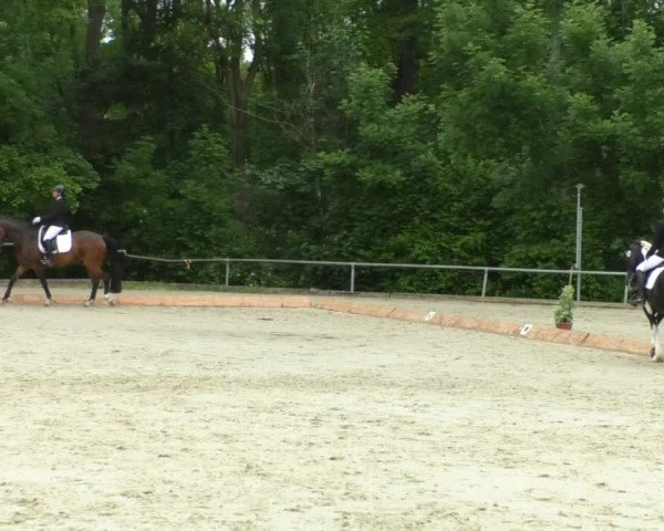 Reitturnier Leingarten 2019
