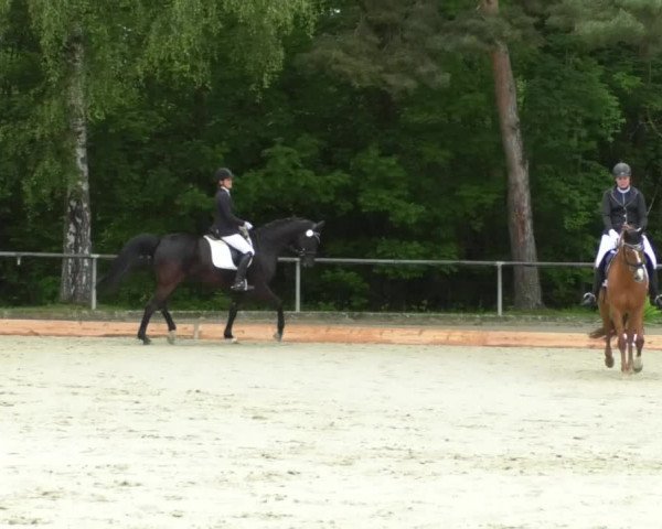 Reitturnier Leingarten 2019