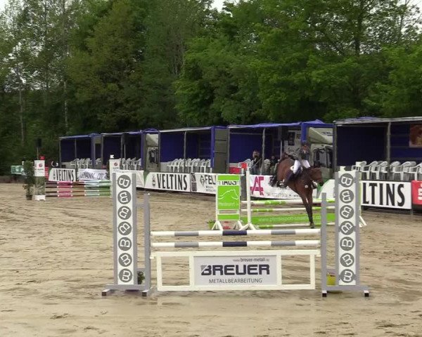 Reitturnier Hellefeld 2019