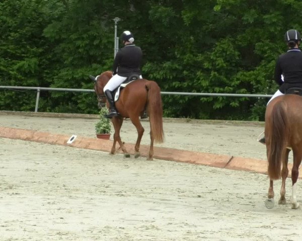 Reitturnier Leingarten 2019