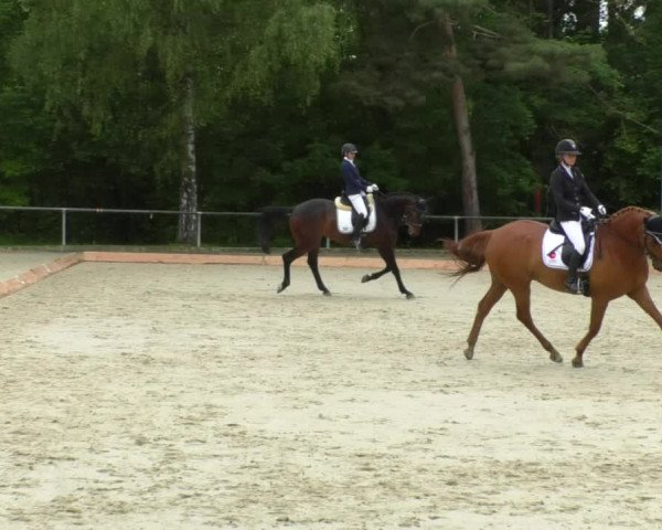 Reitturnier Leingarten 2019