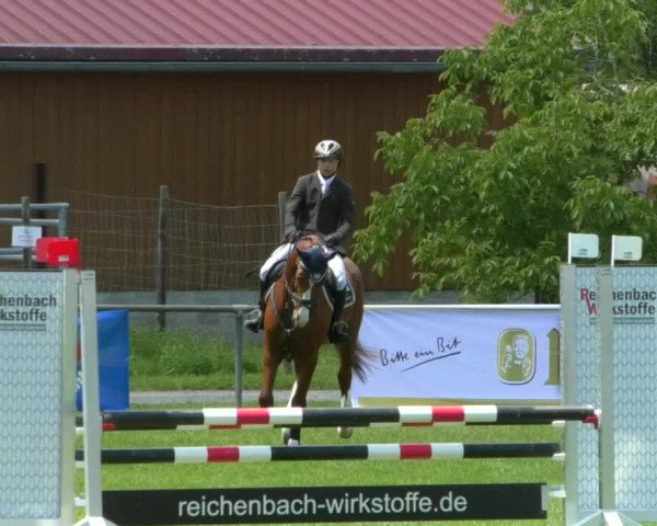 Reitturnier Leingarten 2019