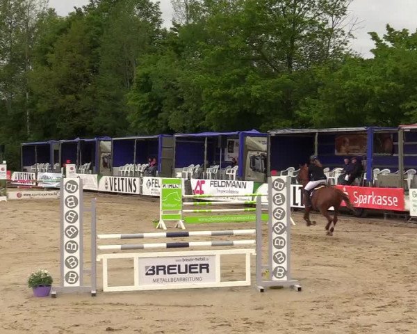 Reitturnier Hellefeld 2019