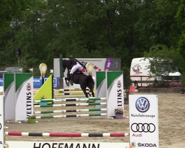 Reitturnier Hellefeld 2019