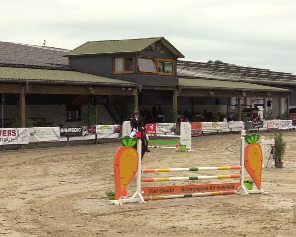 Reitturnier Hellefeld 2019