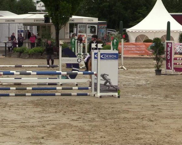 Reitturnier Hellefeld 2019