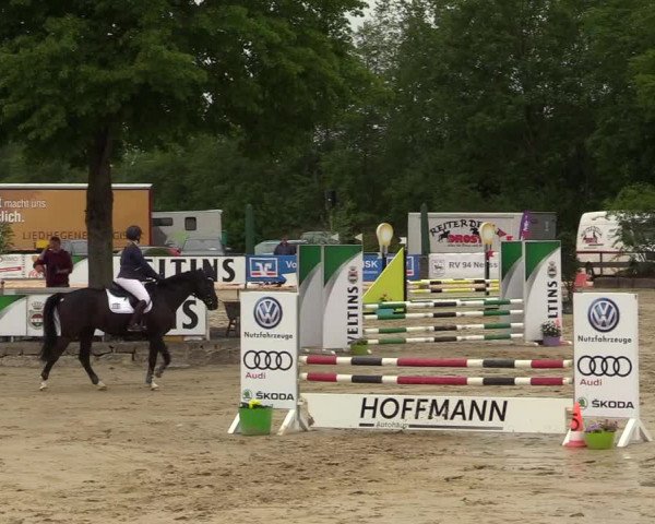 Reitturnier Hellefeld 2019