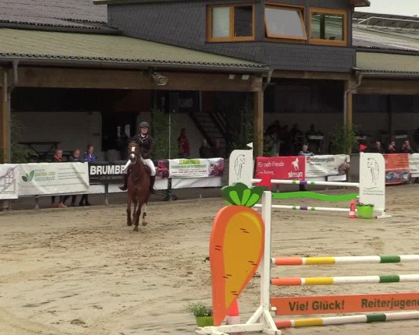 Reitturnier Hellefeld 2019