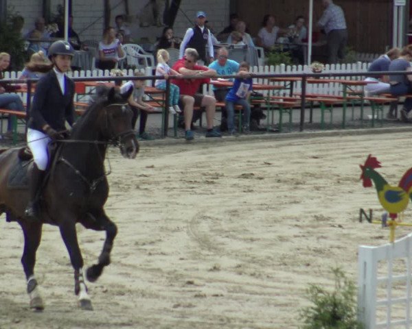 Reitturnier Hamm-Rhynern 2019