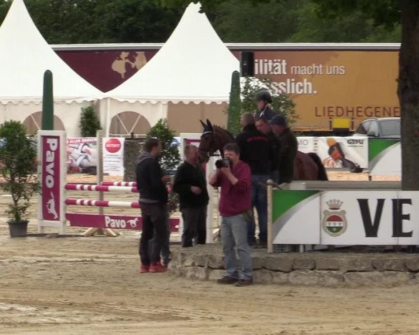 Reitturnier Hellefeld 2019