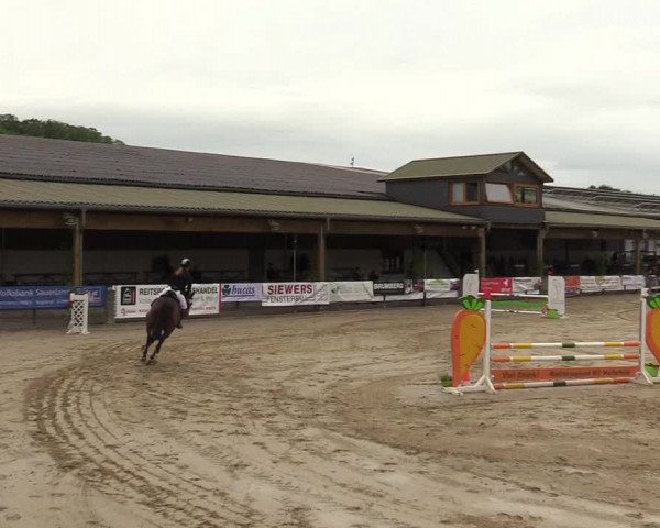 Reitturnier Hellefeld 2019