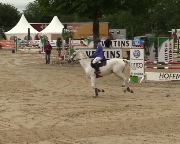 Reitturnier Hellefeld 2019