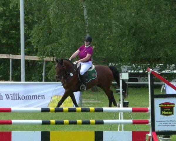 Reitturnier Leingarten 2019