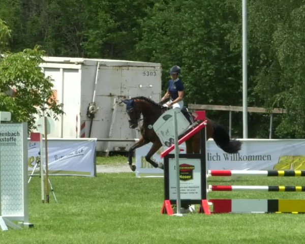 Reitturnier Leingarten 2019