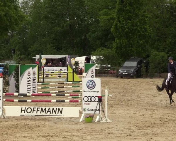 Reitturnier Hellefeld 2019