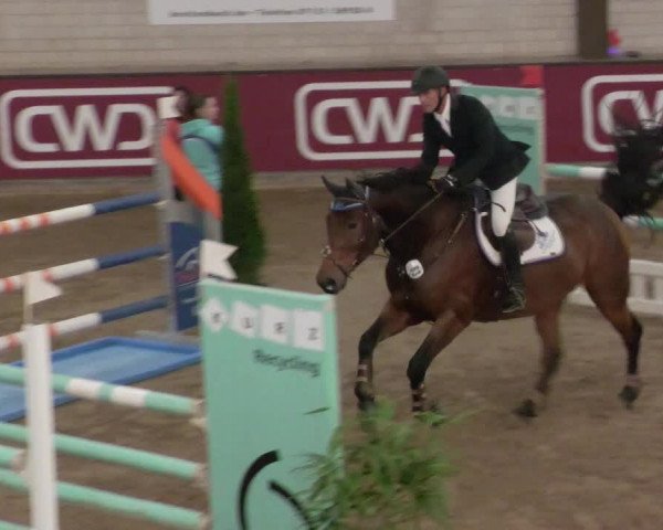 Reitturnier Heilbronn 2021