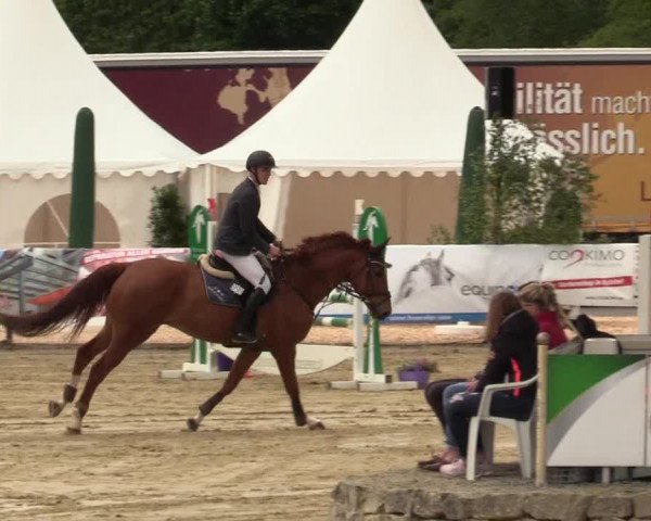 Reitturnier Hellefeld 2019