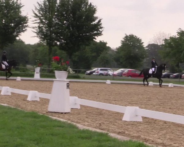 Reitturnier Hille 2019
