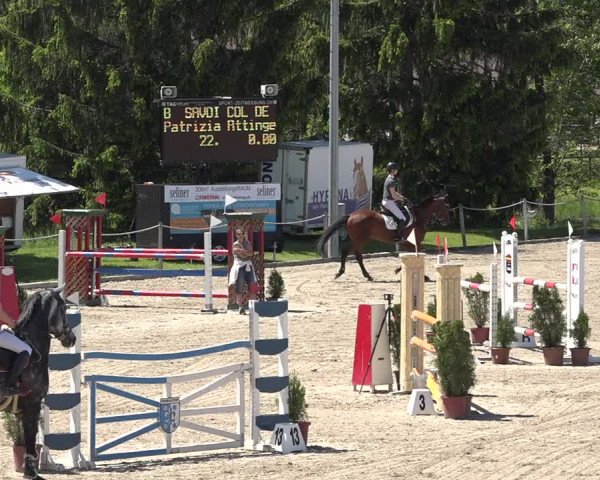 Reitturnier Fehraltorf 2019