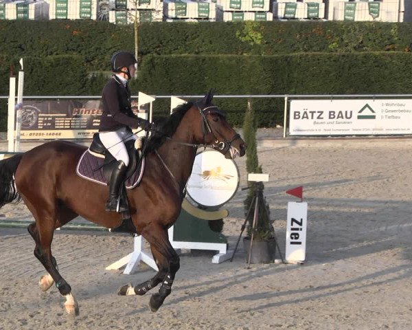 Reitturnier Durmersheim-Hardt 2021