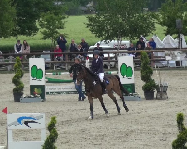 Reitturnier Kirchhellen/Stall Dieckmann 2019