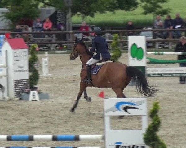 Reitturnier Kirchhellen/Stall Dieckmann 2019