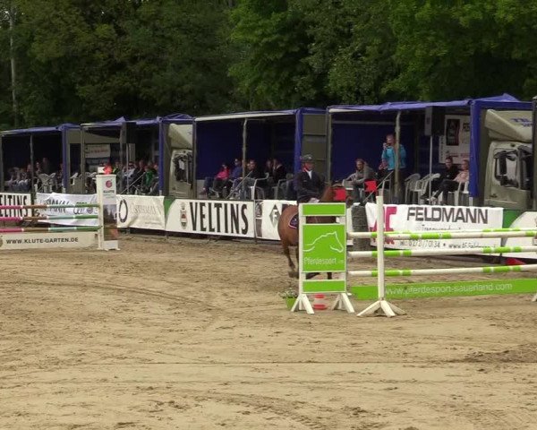Reitturnier Hellefeld 2019