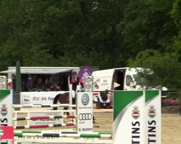 Reitturnier Hellefeld 2019