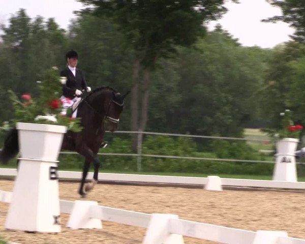 Reitturnier Hille 2019