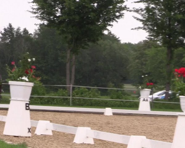 Reitturnier Hille 2019