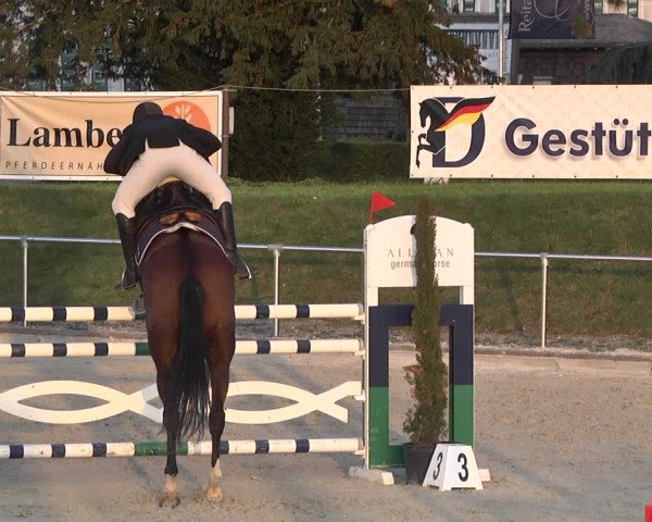 Reitturnier Durmersheim-Hardt 2021