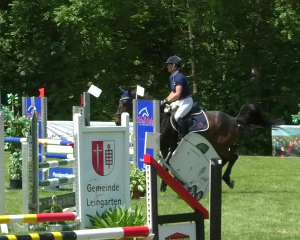 Reitturnier Leingarten 2019