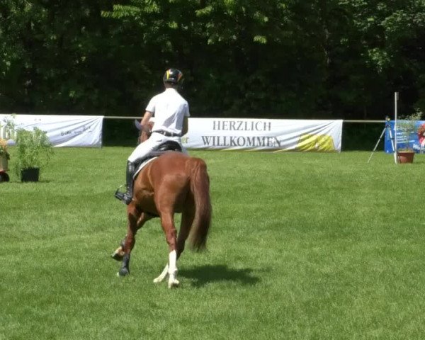 Reitturnier Leingarten 2019