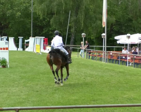 Reitturnier Leingarten 2019