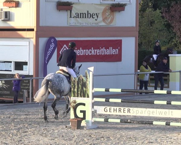 Reitturnier Durmersheim-Hardt 2021