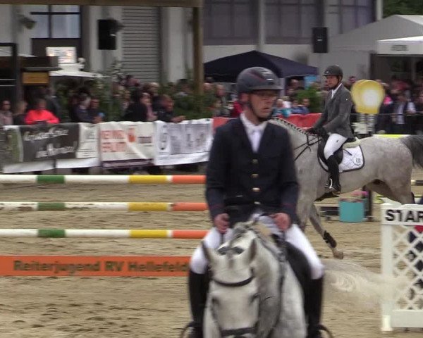 Reitturnier Hellefeld 2019