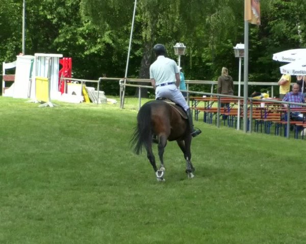 Reitturnier Leingarten 2019