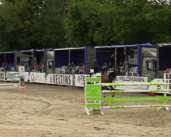 Reitturnier Hellefeld 2019